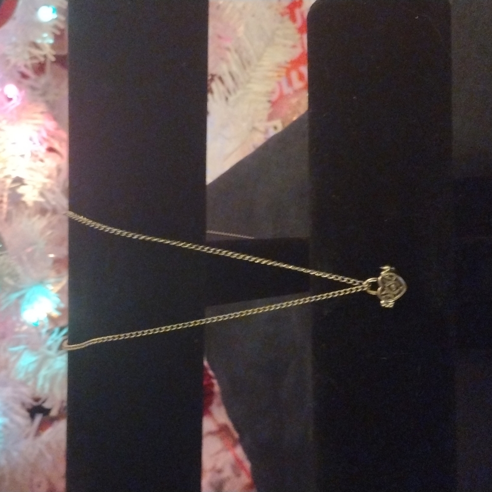 Heart Shaped Chest Locket Necklace